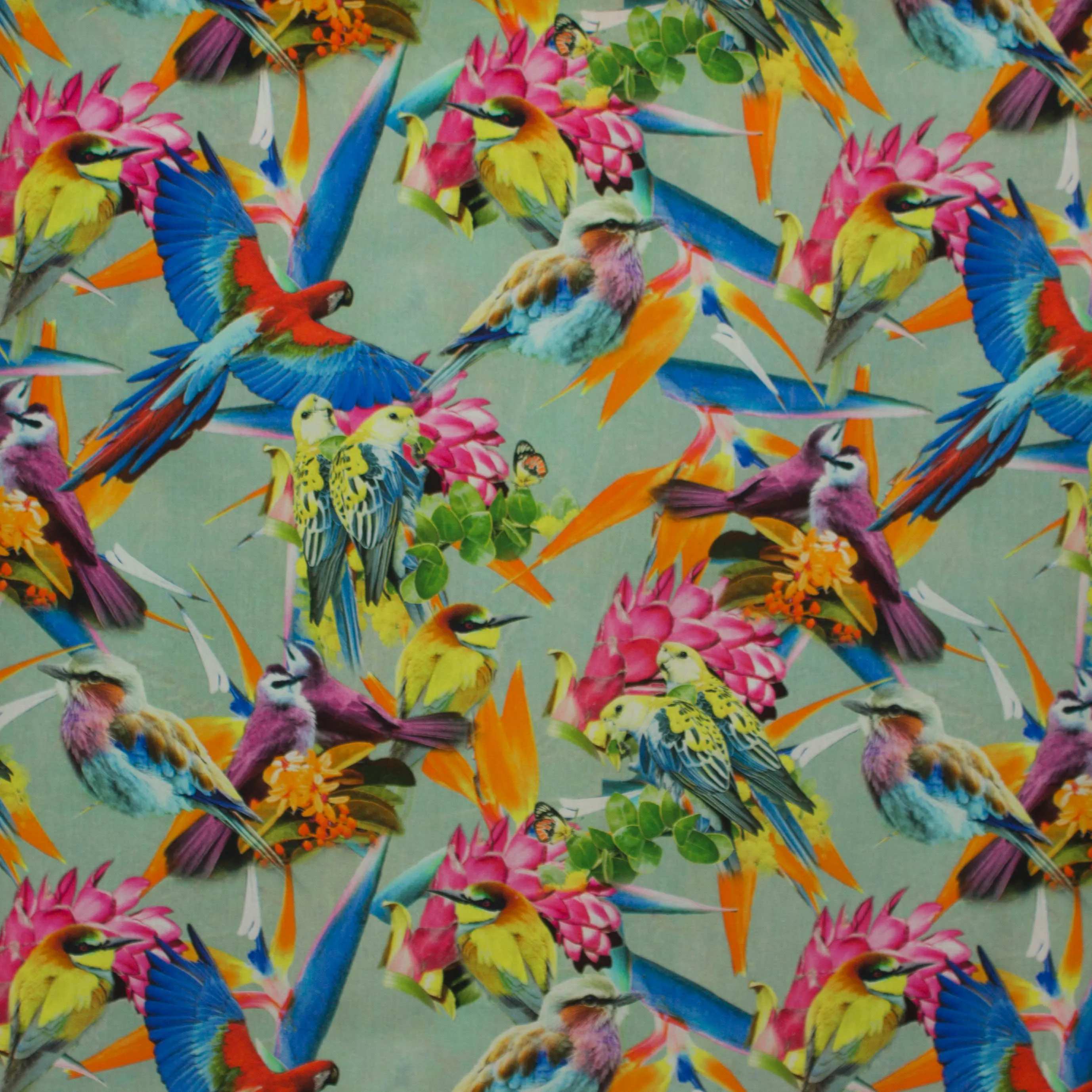 Muntkleurige poplin katoen met realistische vogels